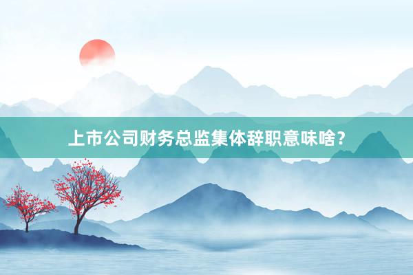 上市公司财务总监集体辞职意味啥？