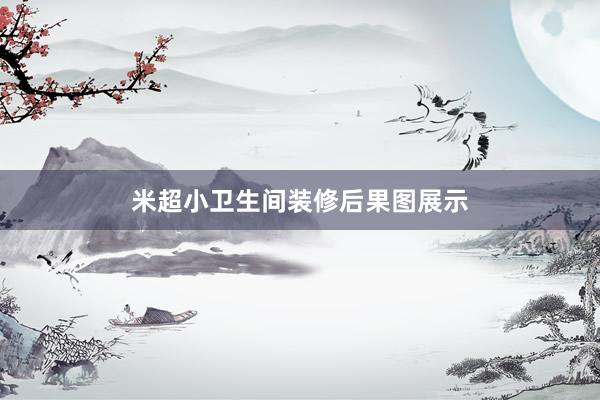 米超小卫生间装修后果图展示