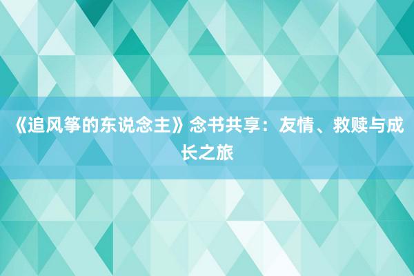 《追风筝的东说念主》念书共享：友情、救赎与成长之旅