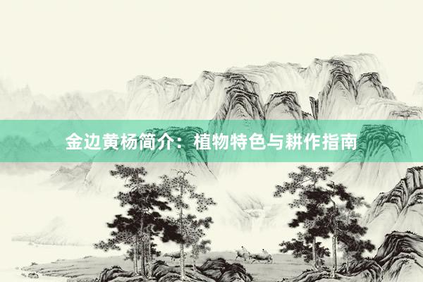 金边黄杨简介：植物特色与耕作指南