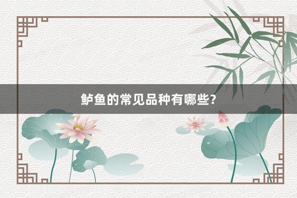 鲈鱼的常见品种有哪些？