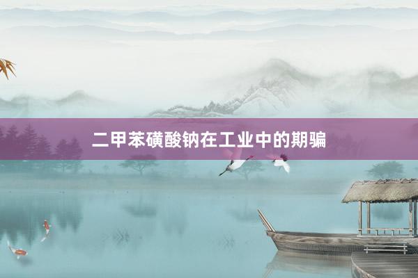 二甲苯磺酸钠在工业中的期骗