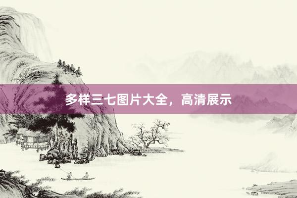 多样三七图片大全，高清展示
